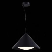 SL6501.413.01 Светильник подвесной ST-Luce Черный/Черный LED 1*12W 3000K TRESOR