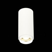ST600.542.10 Светильник потолочный Zoom Белый LED 1*10W 4000K 1 000Lm Ra>80 15-60° IP20 D59xH130 170 Накладные светильники