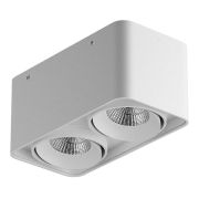 052326-IP65 Светильник MONOCCO LED 2х10W 1200LM 30G БЕЛЫЙ 3000K