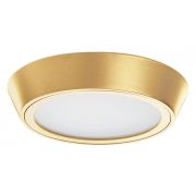 214934 Светильник URBANO LED 10W 1175LM ЗОЛОТО 4000K IP65