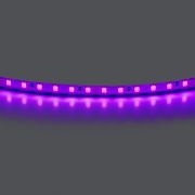 420518 Лента LIGHTSTAR LED 24V 12W 120leds/M 1600 LM/M purple IP20 1шт = 5м