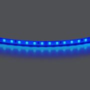 420515 Лента LIGHTSTAR LED 24V 12W 120leds/M 1600 LM/M blue IP20 1шт = 5м
