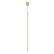14024/C/1P Brass